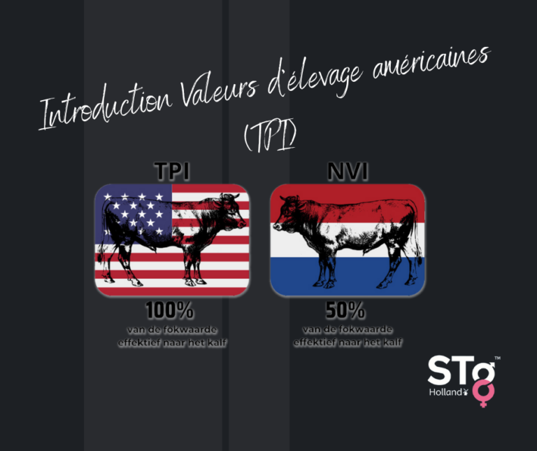 Valeur d'élevage TPI américain