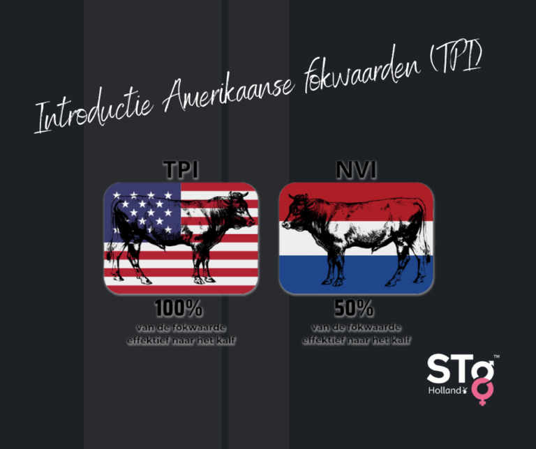 TPI fokwaarde amerikaans