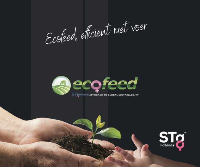 Ecofeed, efficiënt met voer