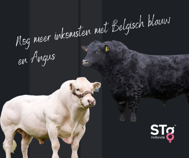 Nog meer inkomsten met Belgisch blauw en Angus