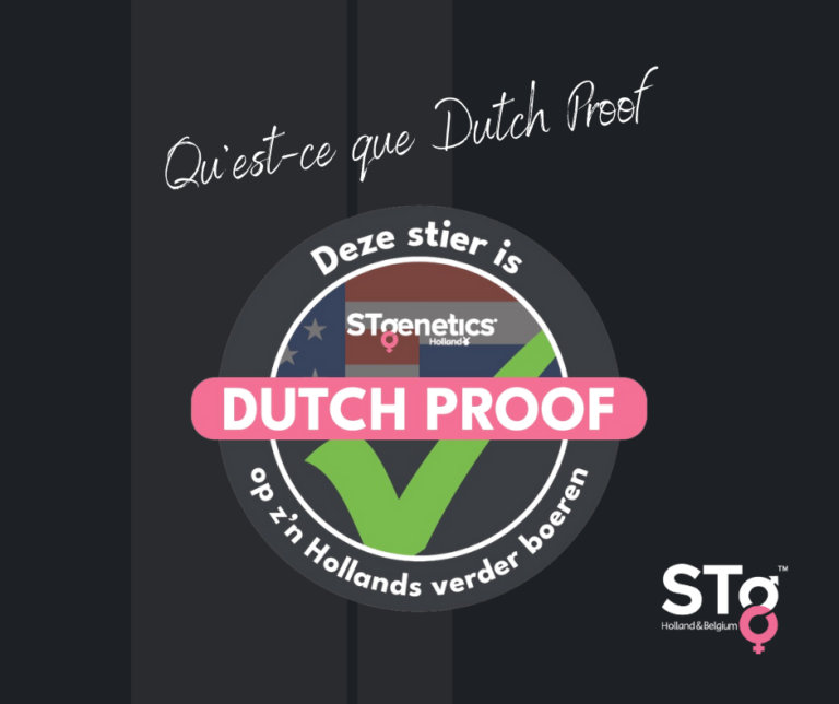 Qu’est-ce que Dutch Proof