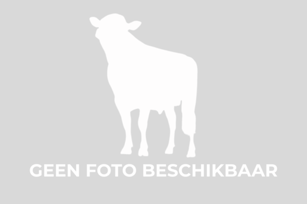 I.v.m. het ontbreken van een kwalitatieve stierfoto en/of dochterfoto
