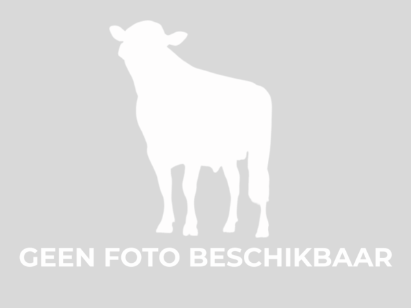 I.v.m. het ontbreken van een kwalitatieve stierfoto en/of dochterfoto