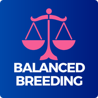Stiereigenschap - BALANCED BREEDING