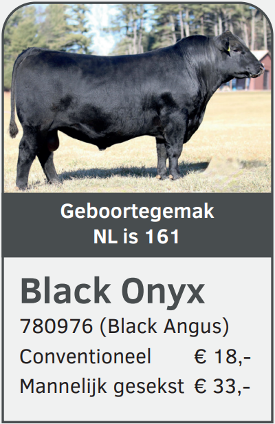 Black Onyx 780976 stier Black Angus 2026-01