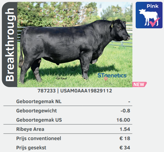 Breakthrough 787233 stier