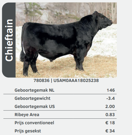 Chieftain 780836 stier