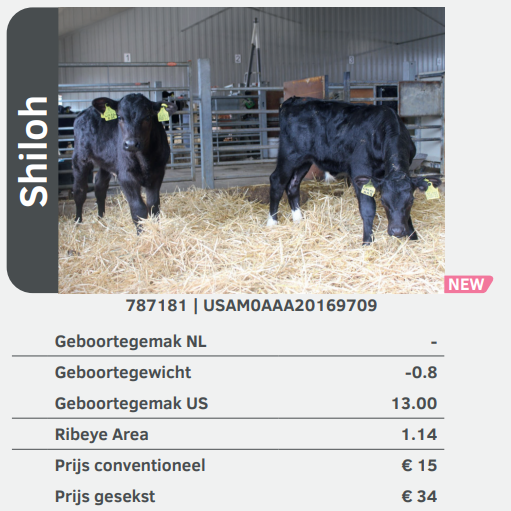 Shiloh 787181 kalveren