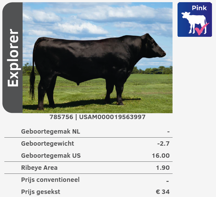 Explorer 785756 stier 2